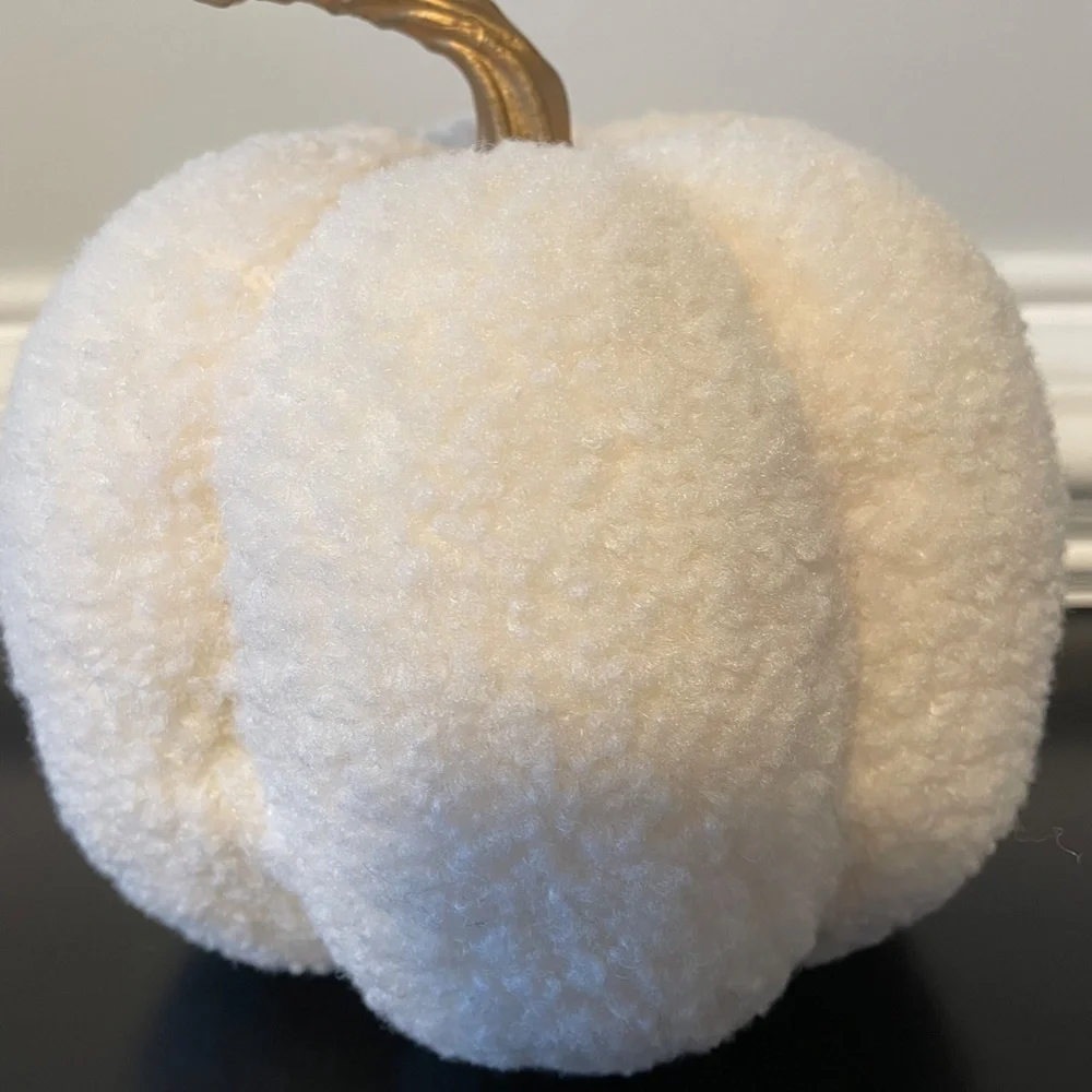 5 for $20: Target sherpa pumpkin